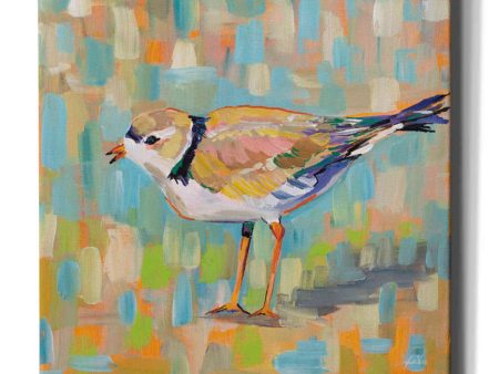 Coastal Plover IV  by Jeanette Vertentes, Canvas Wall Art Cheap