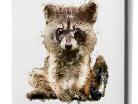 Ricky Racoon  by Kim Curinga, Canvas Wall Art For Cheap