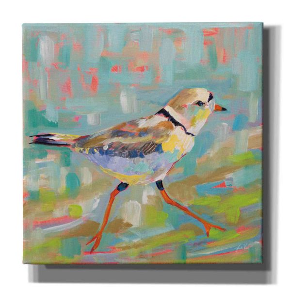 Coastal Plover I  by Jeanette Vertentes, Canvas Wall Art Supply