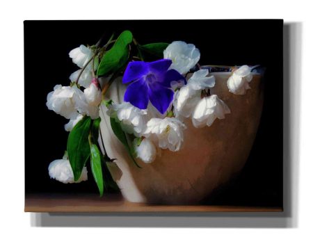 Purple And White Flowers In A Pot  by Hal Halli, Canvas Wall Art Sale