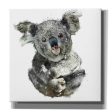 Koala Cuddle  by Kim Curinga, Canvas Wall Art Cheap