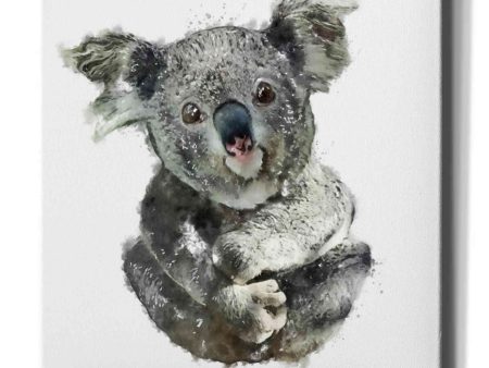 Koala Cuddle  by Kim Curinga, Canvas Wall Art Cheap