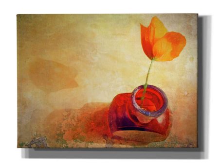 Orange Poppy In Brown Bottle  by Hal Halli, Canvas Wall Art Supply