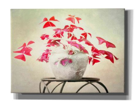 Butterfly Plant  by Hal Halli, Canvas Wall Art For Sale