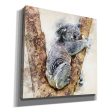 Koala 4  by Kim Curinga, Canvas Wall Art Cheap