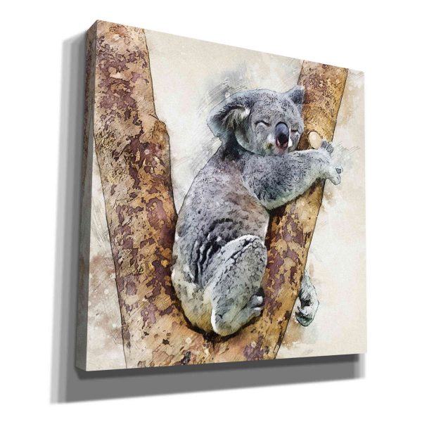 Koala 4  by Kim Curinga, Canvas Wall Art Cheap