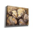 The Gang of Quahogs  by Jeanette Vertentes, Canvas Wall Art Discount