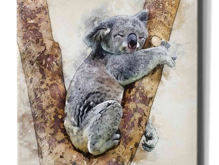 Koala 4  by Kim Curinga, Canvas Wall Art Cheap