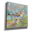 Coastal Plover I  by Jeanette Vertentes, Canvas Wall Art Supply