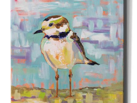 Coastal Plover II  by Jeanette Vertentes, Canvas Wall Art on Sale