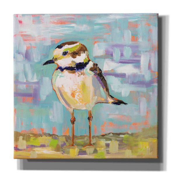 Coastal Plover II  by Jeanette Vertentes, Canvas Wall Art on Sale