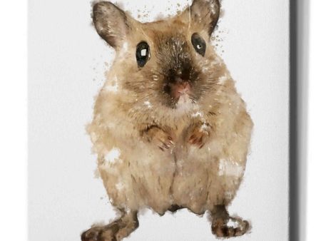 Curious Mouse  by Kim Curinga, Canvas Wall Art For Cheap