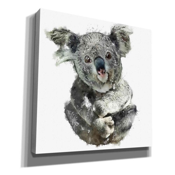 Koala Cuddle  by Kim Curinga, Canvas Wall Art Cheap