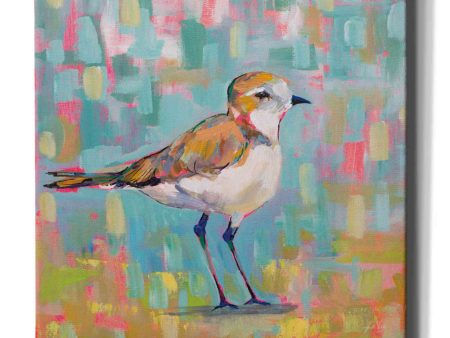 Coastal Plover III  by Jeanette Vertentes, Canvas Wall Art Online now