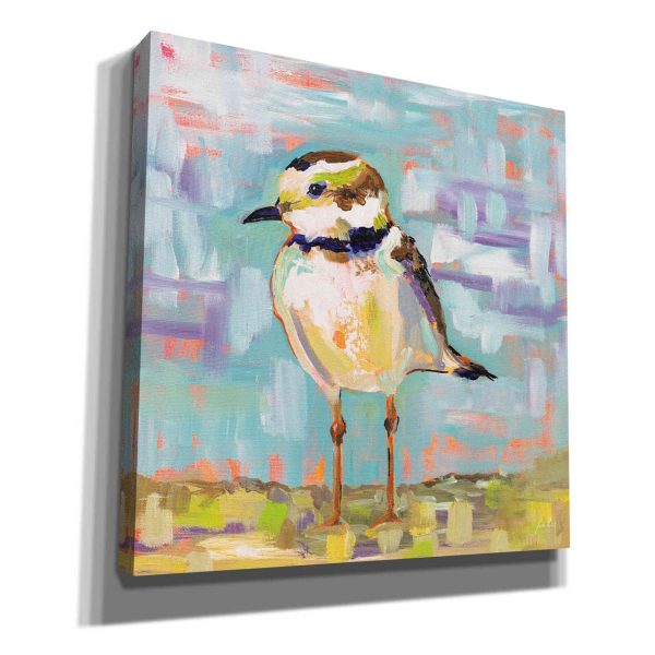 Coastal Plover II  by Jeanette Vertentes, Canvas Wall Art on Sale