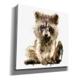 Ricky Racoon  by Kim Curinga, Canvas Wall Art For Cheap