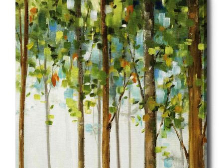 Forest Study III  by Lisa Audit, Canvas Wall Art, Online