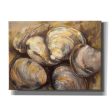 The Gang of Quahogs  by Jeanette Vertentes, Canvas Wall Art Discount