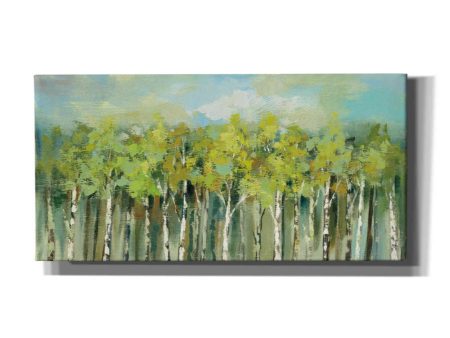 April Tree Tops  by Silvia Vassileva, Canvas Wall Art Sale