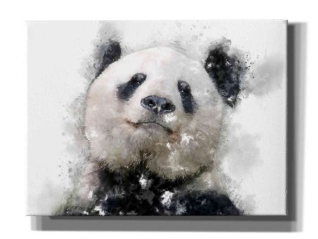 Panda Love  by Kim Curinga, Canvas Wall Art Online Hot Sale