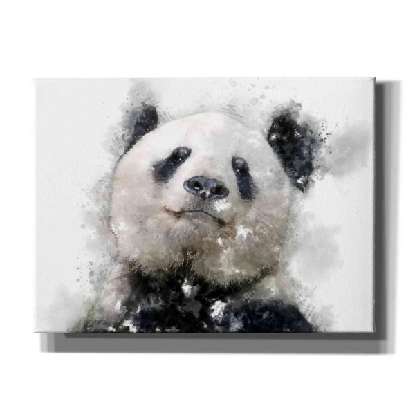 Panda Love  by Kim Curinga, Canvas Wall Art Online Hot Sale