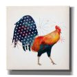 Rooster Fireworks II  by Victoria Borges, Canvas Wall Art Sale