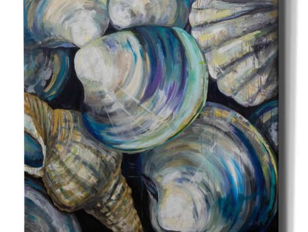 Key West Shells  by Jeanette Vertentes, Canvas Wall Art Hot on Sale