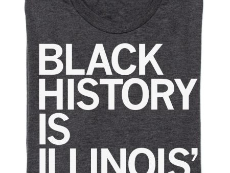 Black History is Illinois History For Discount