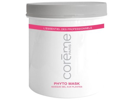 Phyto Mask Gel  Masque Hydratant aux Plantes Pot 250 ml For Sale