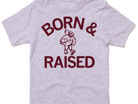 Cyclones Born & Raised Kids For Discount