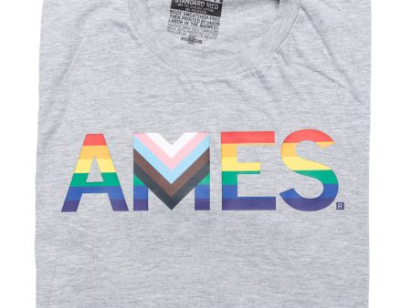 Ames Text Progress Pride Flag Online