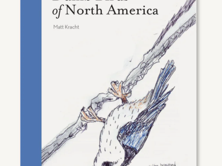 Chronicle: The Field Guide to Dumb Birds of North America Cheap