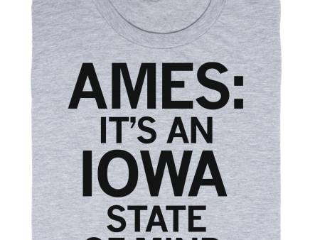 Ames: State of Mind Online