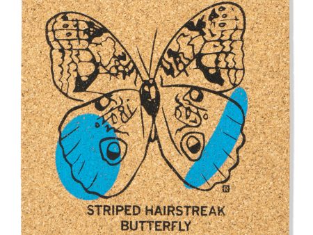 Striped Hairstreak Butterfly Cork Coaster For Cheap