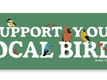 Bird Collective: Support Your Local Birds Bumper Sticker For Cheap