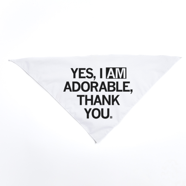 I Am Adorable Dog Bandana For Sale