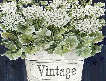 CIN4186 - Vintage Blooms I - 12x16 Discount