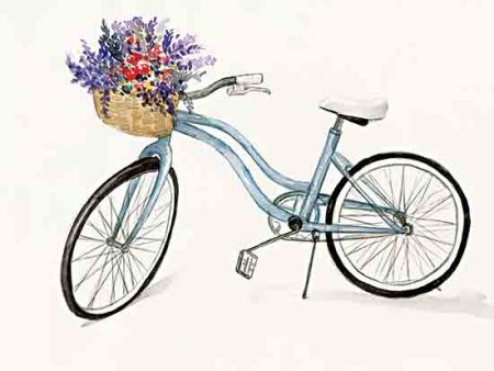 DOG284 - Flower Bicycle II - 16x12 Cheap